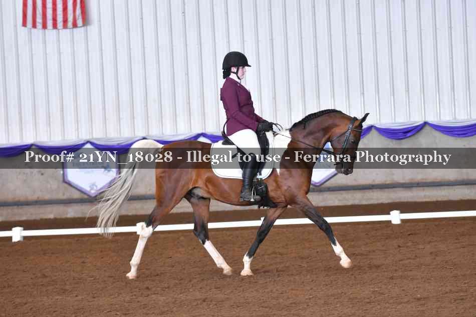 Proof 21YN_18028