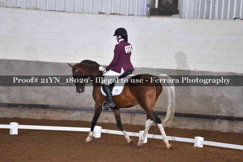 Proof 21YN_18029