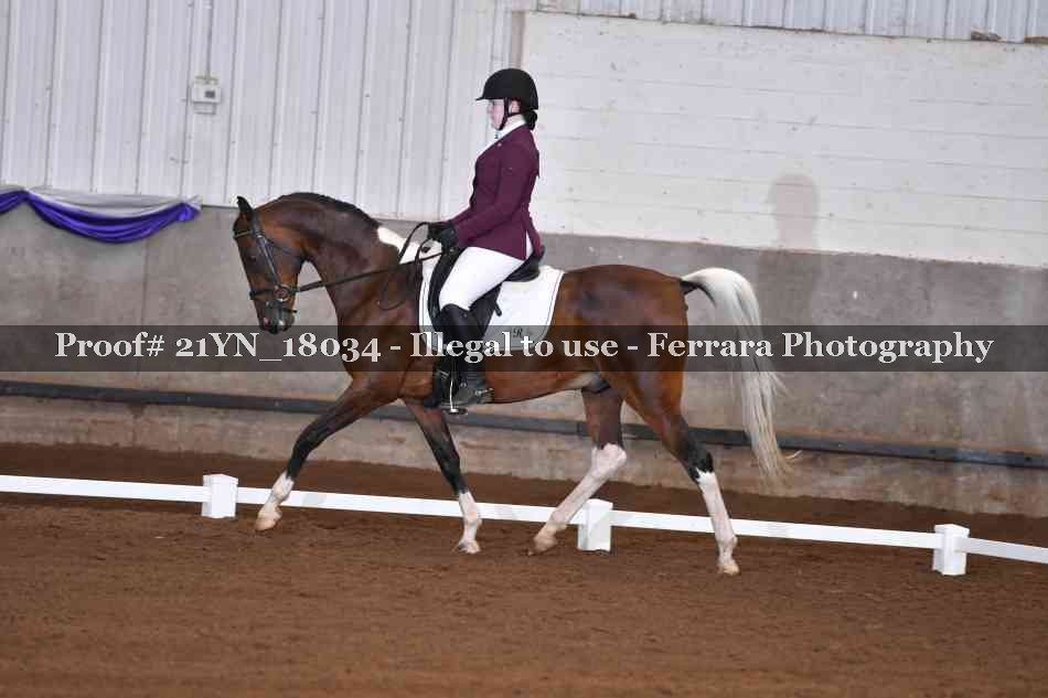 Proof 21YN_18034