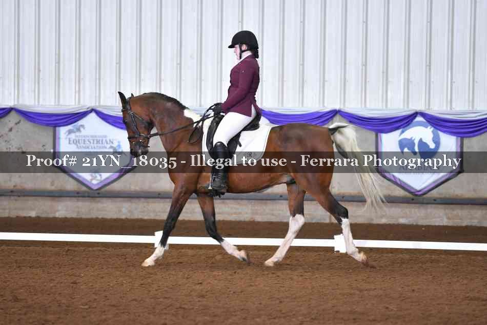 Proof 21YN_18035