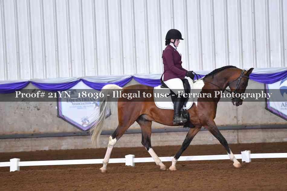 Proof 21YN_18036