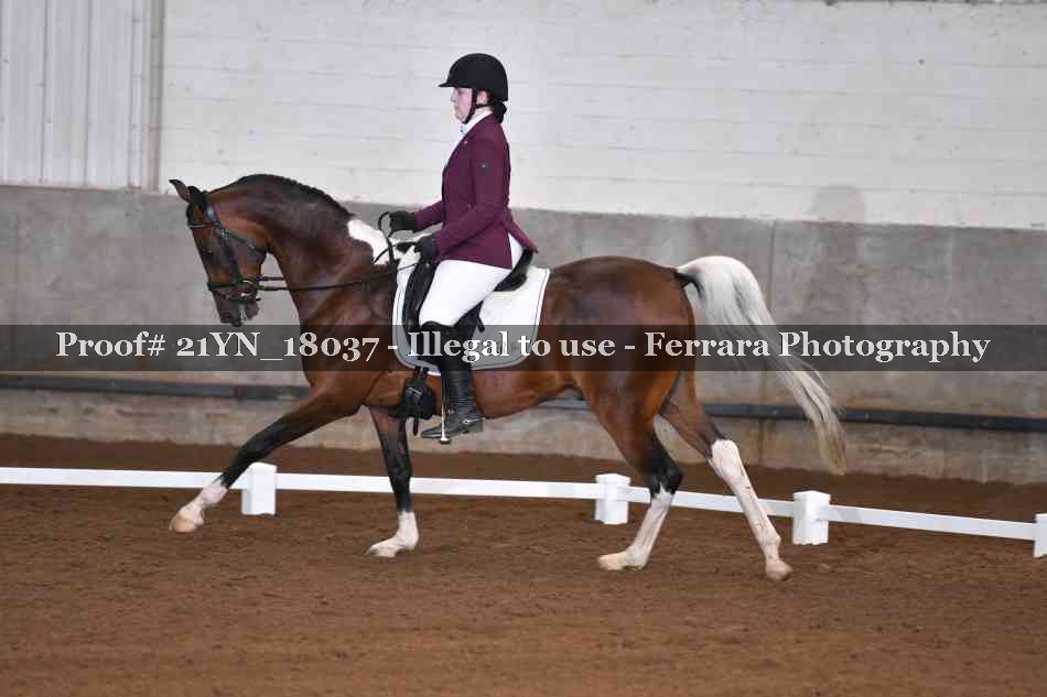 Proof 21YN_18037