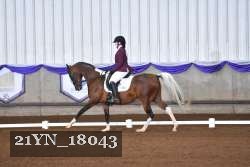 21YN_18043 proof