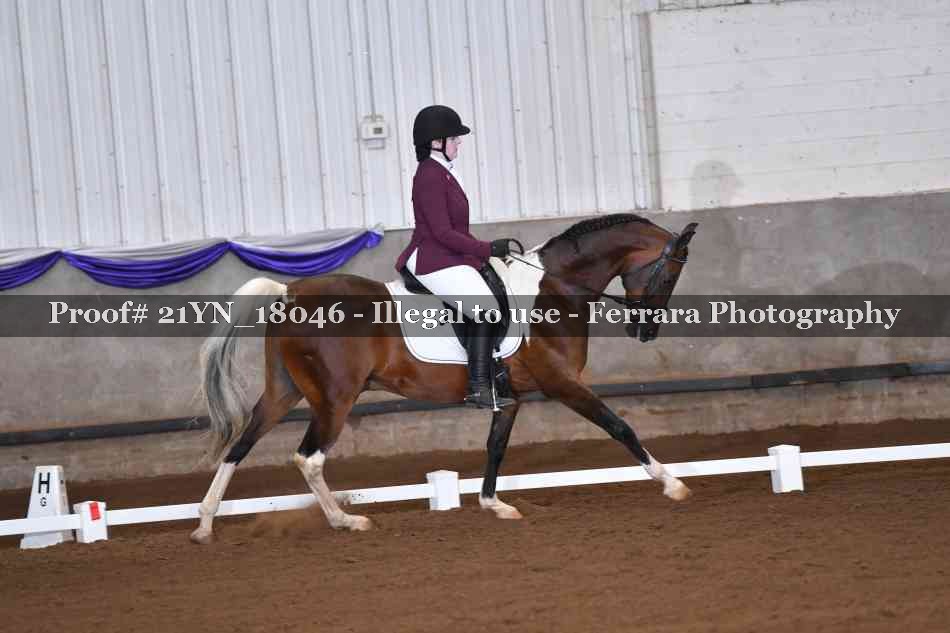 Proof 21YN_18046