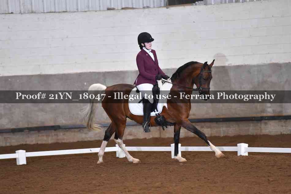 Proof 21YN_18047