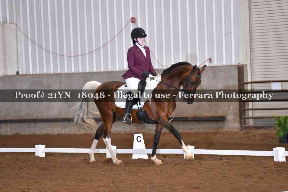 Proof 21YN_18048