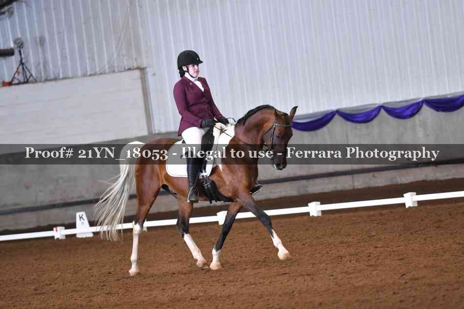 Proof 21YN_18053