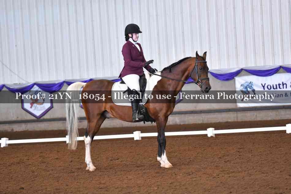 Proof 21YN_18054