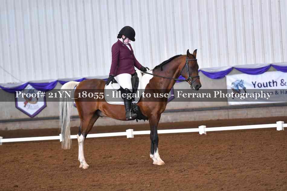 Proof 21YN_18055