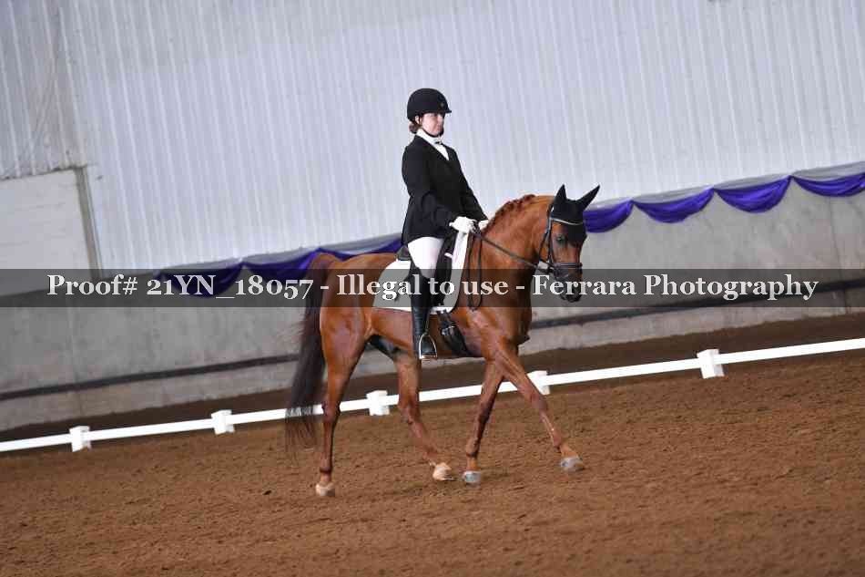 Proof 21YN_18057