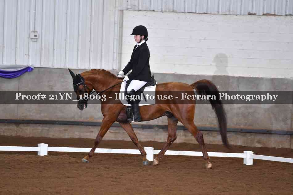Proof 21YN_18063