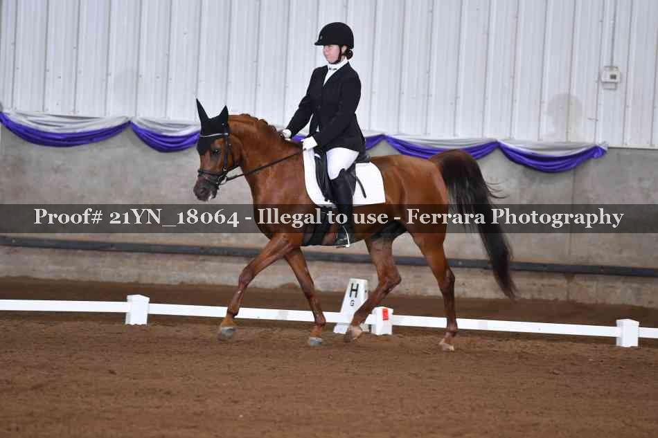 Proof 21YN_18064