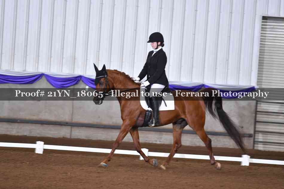 Proof 21YN_18065