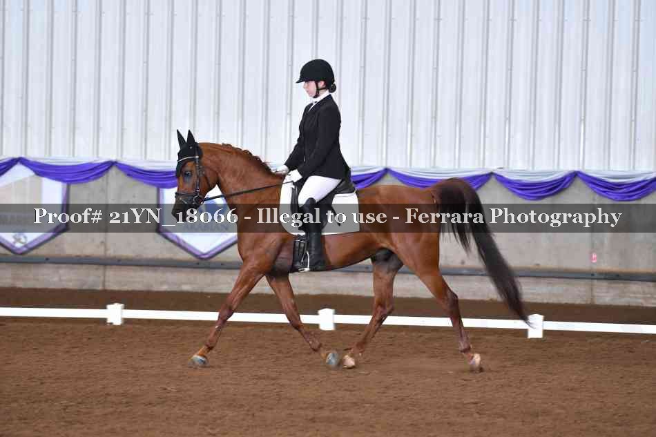 Proof 21YN_18066