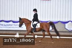 21YN_18067 proof