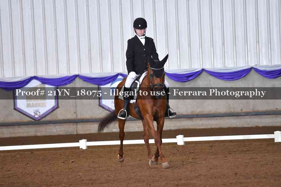 Proof 21YN_18075