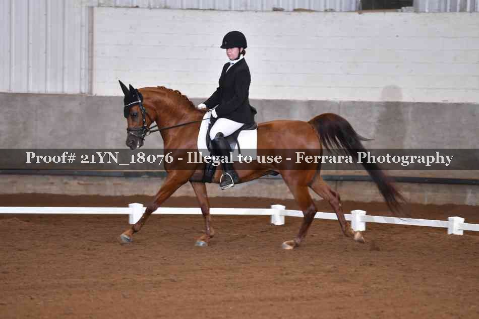 Proof 21YN_18076