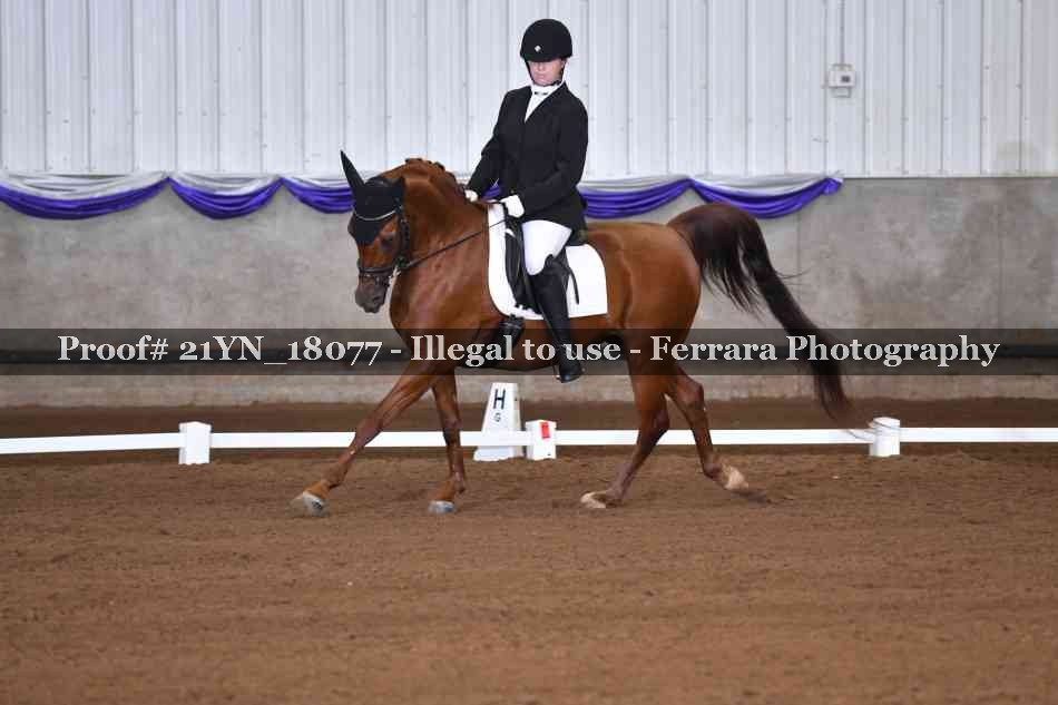 Proof 21YN_18077