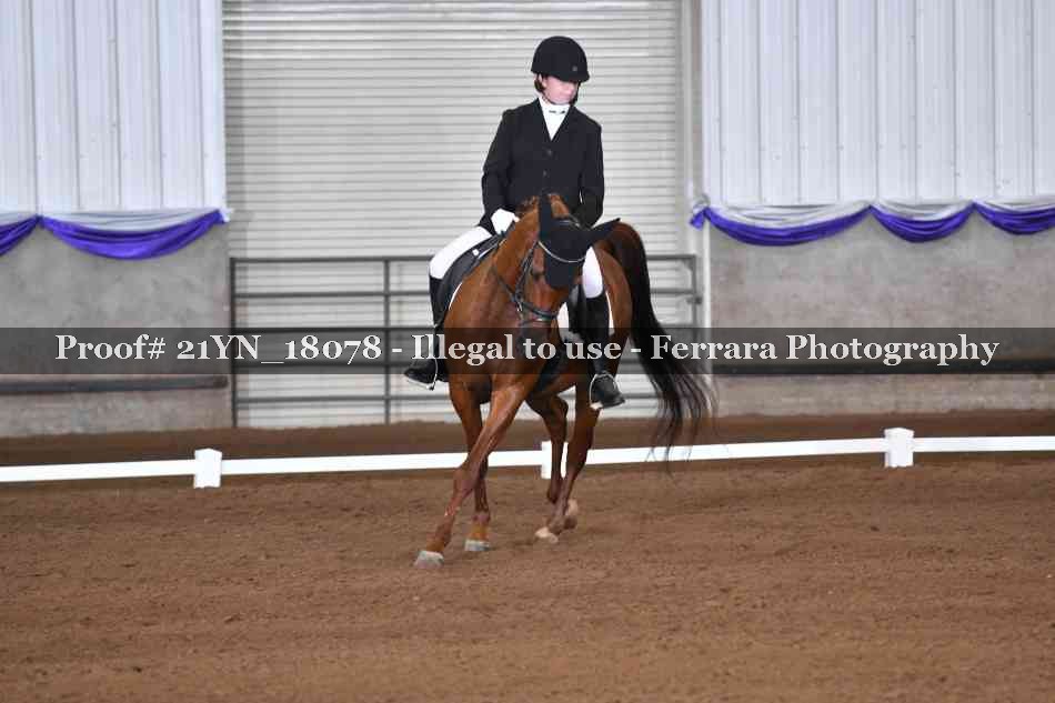 Proof 21YN_18078