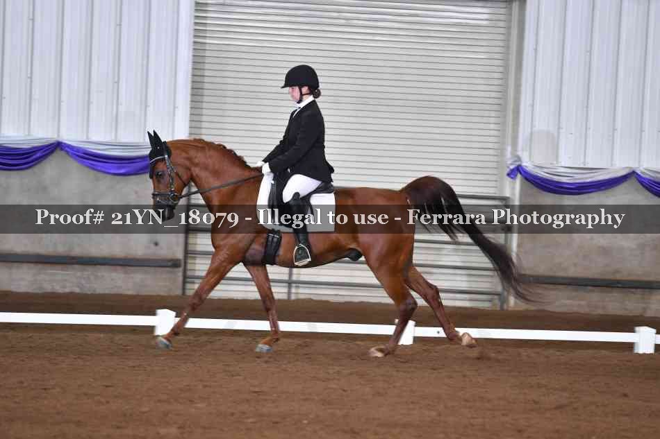 Proof 21YN_18079