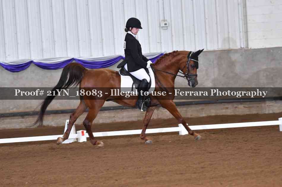 Proof 21YN_18083