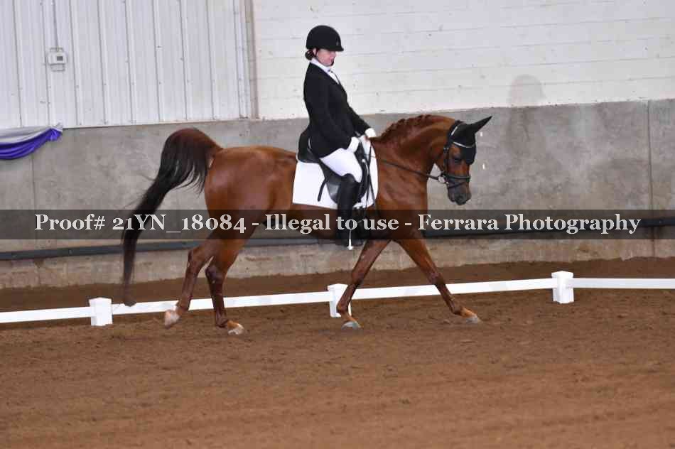Proof 21YN_18084