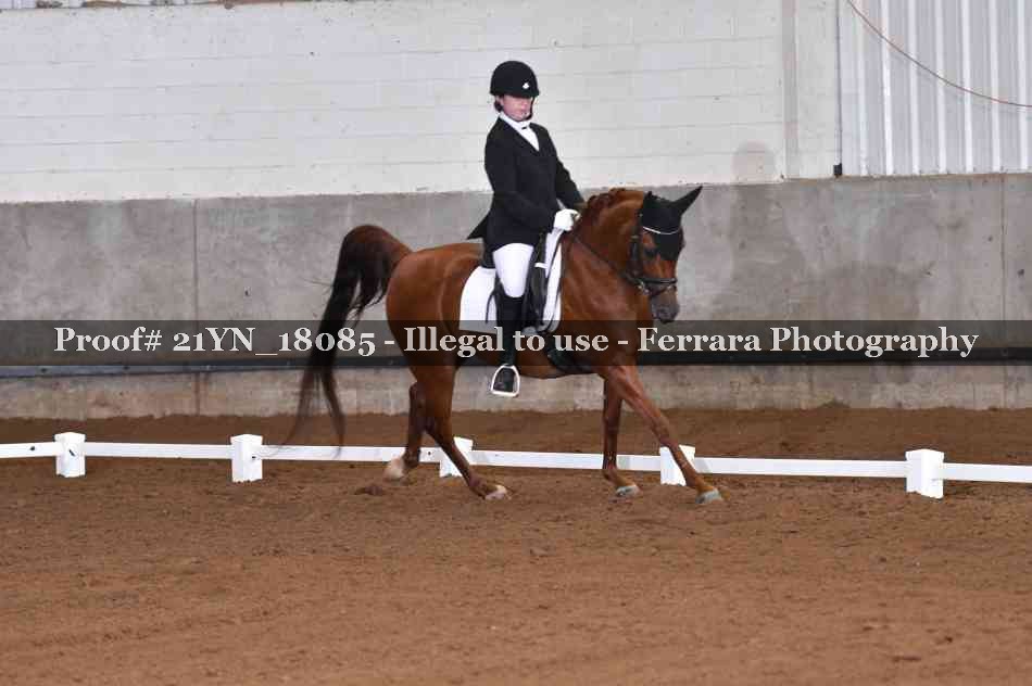Proof 21YN_18085