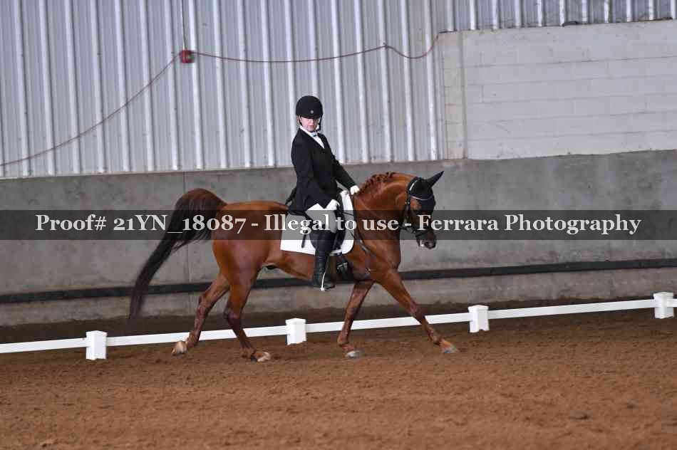 Proof 21YN_18087
