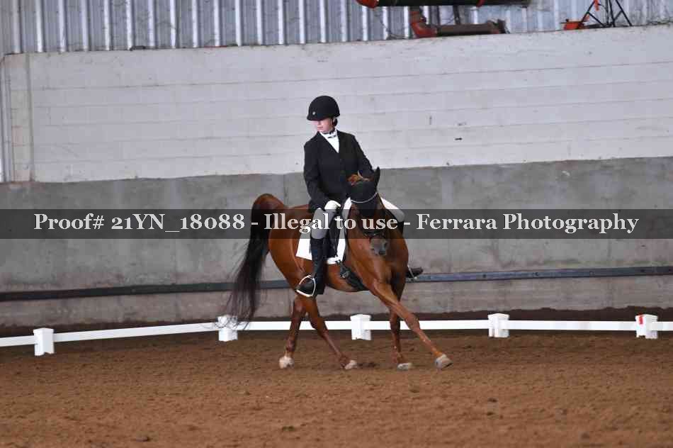 Proof 21YN_18088