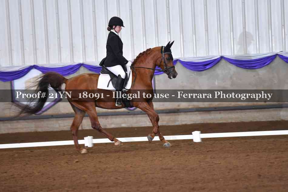 Proof 21YN_18091