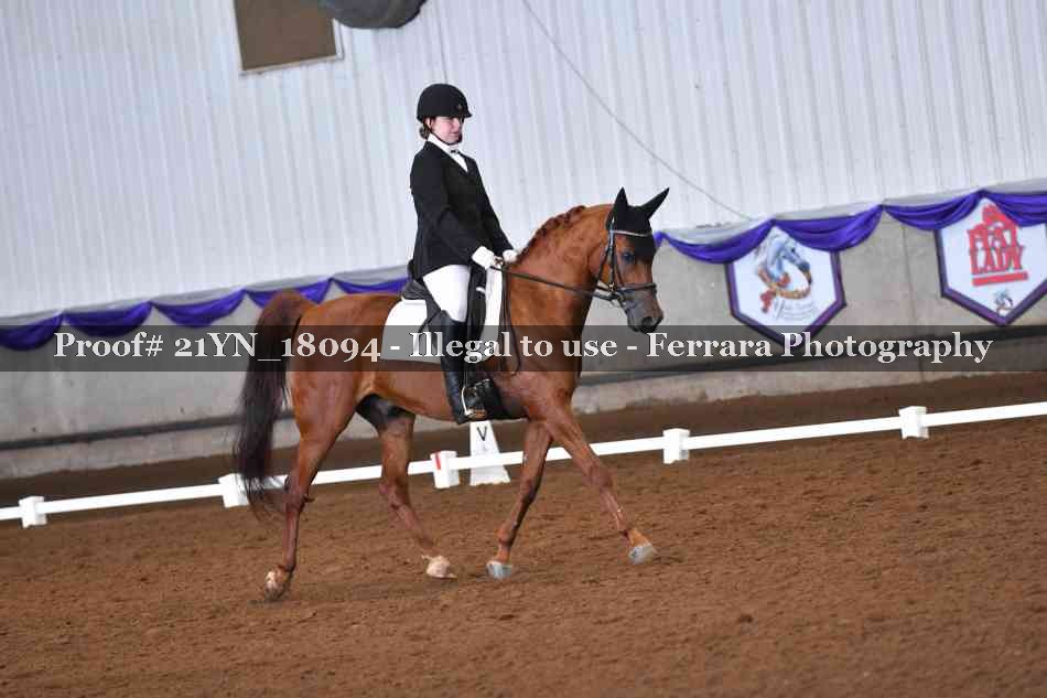 Proof 21YN_18094