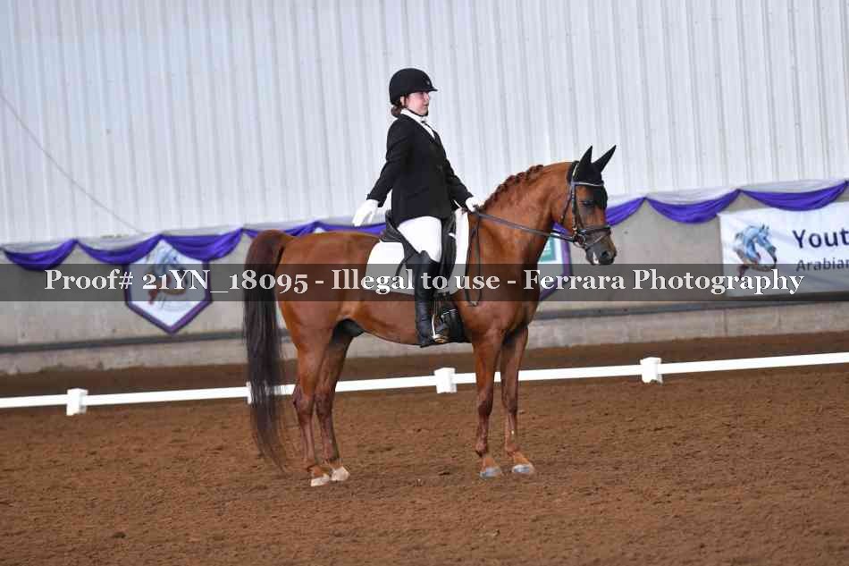 Proof 21YN_18095