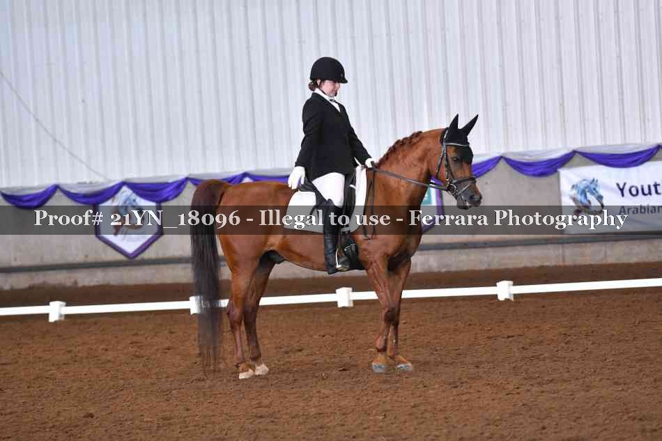 Proof 21YN_18096