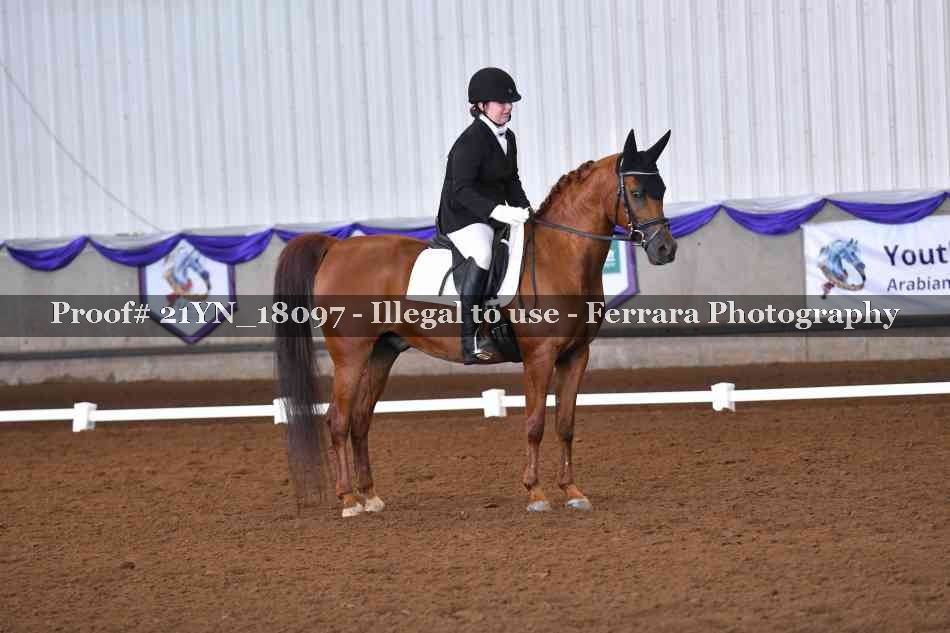 Proof 21YN_18097