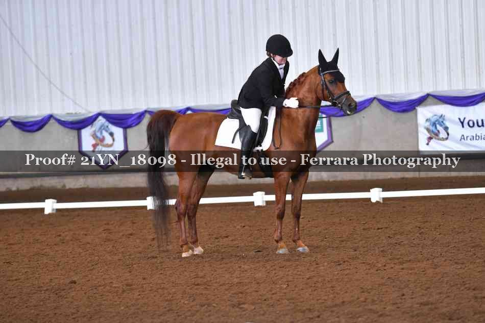 Proof 21YN_18098