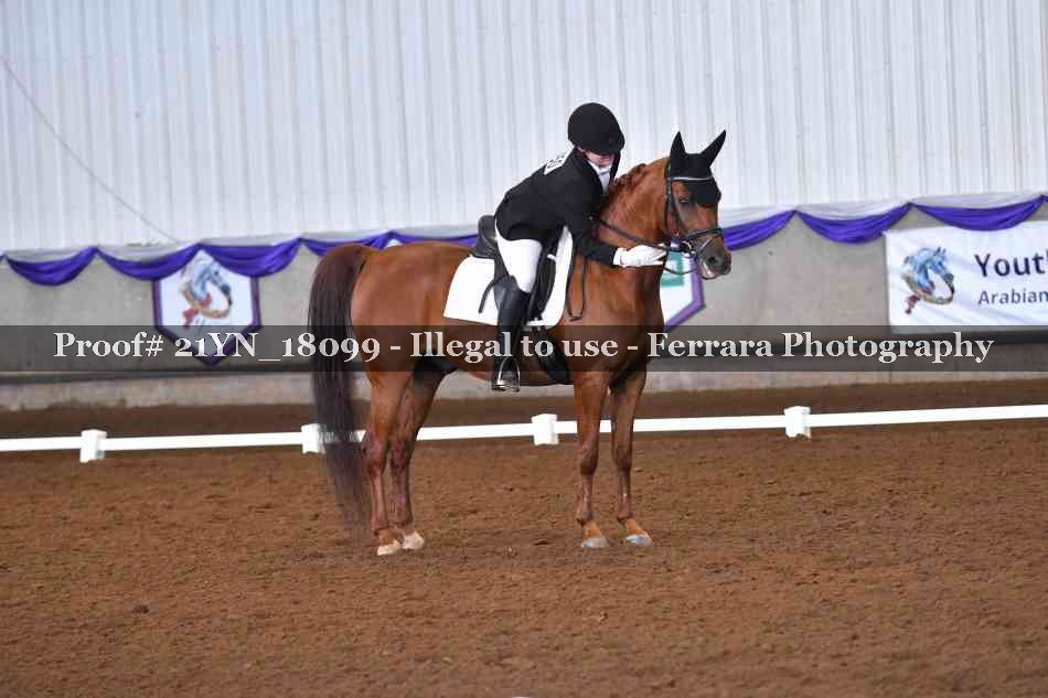 Proof 21YN_18099