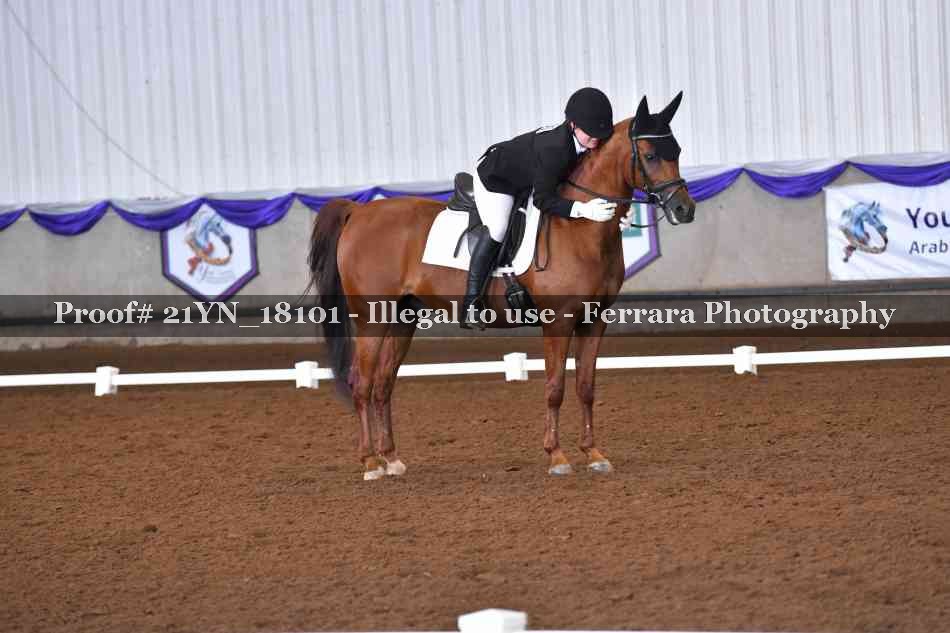 Proof 21YN_18101
