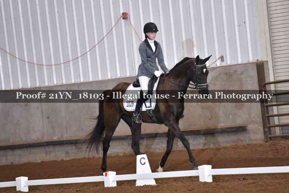 Proof 21YN_18103
