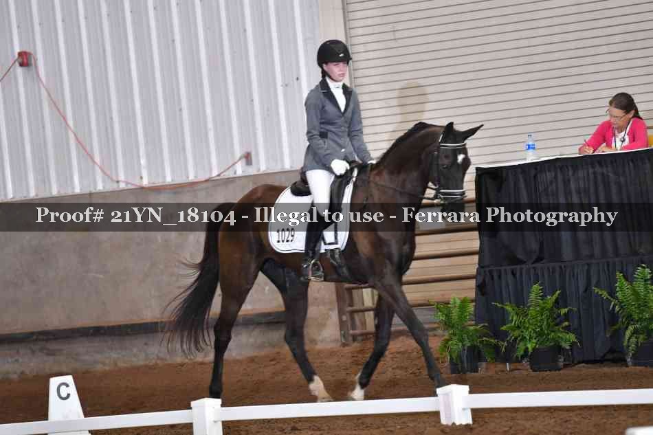 Proof 21YN_18104