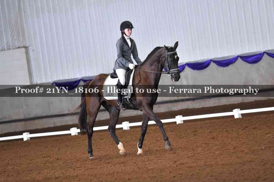 Proof 21YN_18106