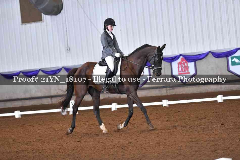 Proof 21YN_18107