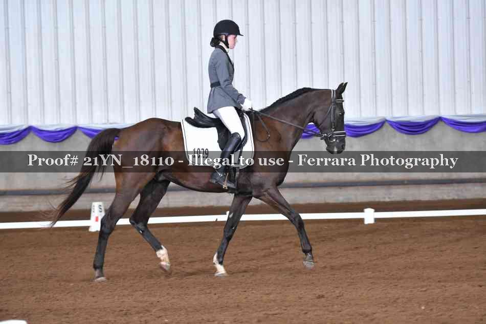 Proof 21YN_18110