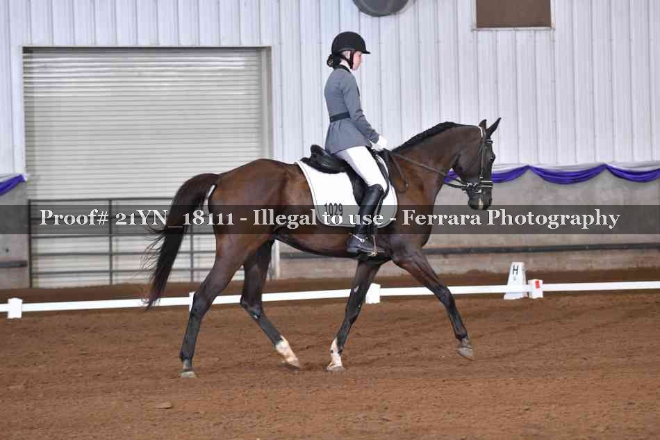 Proof 21YN_18111
