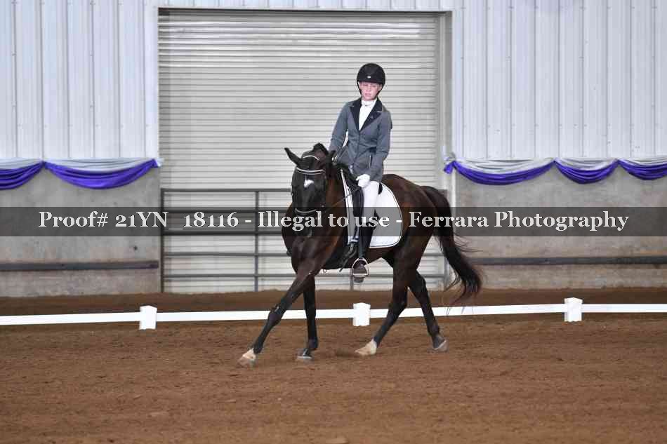 Proof 21YN_18116