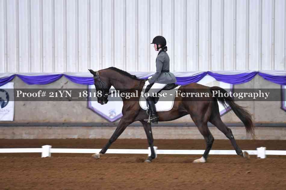 Proof 21YN_18118
