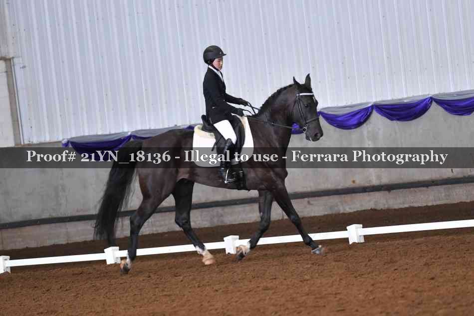 Proof 21YN_18136