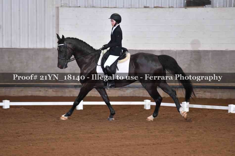 Proof 21YN_18140