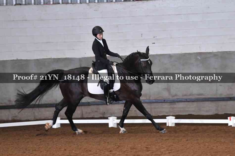Proof 21YN_18148