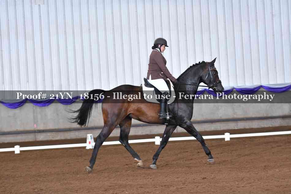 Proof 21YN_18156