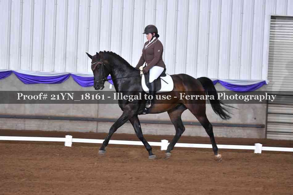 Proof 21YN_18161